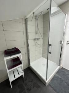 y baño con ducha y puerta de cristal. en appartement centre Vannes, en Vannes