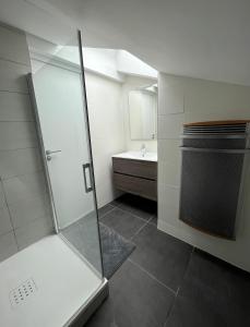 y baño con ducha acristalada y lavamanos. en appartement centre Vannes en Vannes