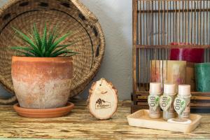 DurónCasa Rural El Botánico的相册照片