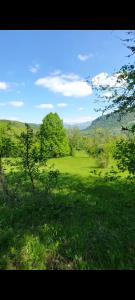 un campo de césped verde con árboles a lo lejos en Etno selo Šapat, en Šavnik