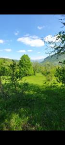 Gallery image of Etno selo -ŠAPAT- in Šavnik