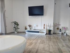 TV a/nebo společenská místnost v ubytování Apartmani Vuković