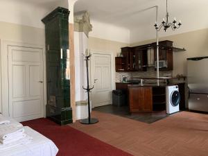 Kuchyň nebo kuchyňský kout v ubytování Guesthouse Jakob Lenz