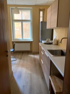 Kuchyň nebo kuchyňský kout v ubytování Guesthouse Jakob Lenz + 37 fotografií