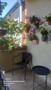 Foto dalla galleria di Cherqe Guest House a Sighnaghi