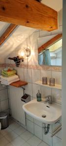 W łazience znajduje się umywalka i lustro. w obiekcie Pension Berghof w mieście Brannenburg