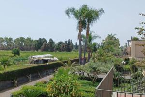a view of a garden with palm trees at Casa al mare Sicilia in Fondachello +7 photos