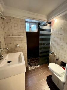 uma casa de banho com um WC, um lavatório e um chuveiro em La maisonnette em Sidi Bou Said