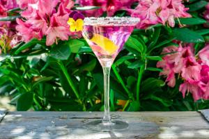 Casa Rural El Botánico的酒水