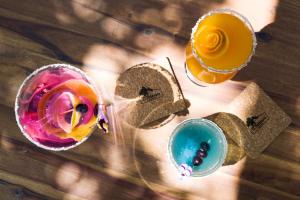 Casa Rural El Botánico的酒水