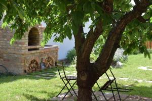 2 chaises assises sous un arbre dans une cour dans l'établissement Mlatevna, à Šakvice