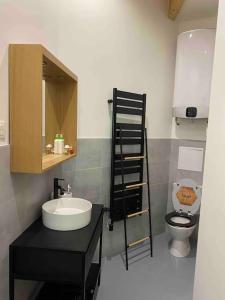 a bathroom with a sink and a toilet at L’atelier d’Alain in Maxéville