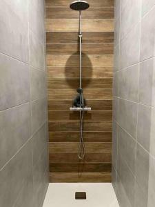 a shower in a bathroom with a wooden wall at L’atelier d’Alain in Maxéville