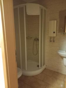 uma casa de banho com um chuveiro, um WC e um lavatório. em Penzion Bernardýn em Bořetice