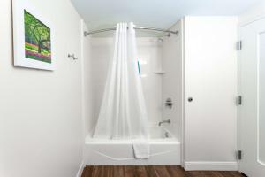 Hampton Inn Columbia I-26/Harbison Blvd的一间浴室