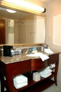 a bathroom with a sink and a large mirror at Hampton Inn Calera in Calera