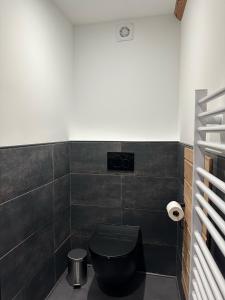 baño con aseo negro en una habitación en Studio RDC La Tour, en Saint-Étienne-de-Tinée