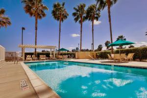 a swimming pool with palm trees in the background at Hampton Inn & Suites Chino Hills in Chino Hills