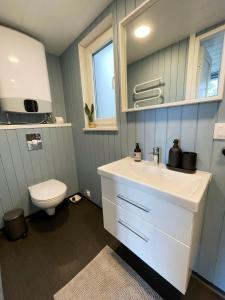 a bathroom with a white sink and a toilet at Amma Jóna in Hvolsvöllur