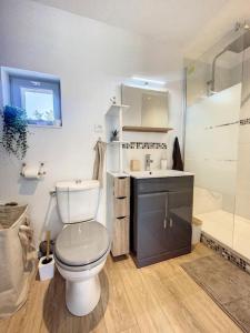 uma casa de banho com um WC, um lavatório e um chuveiro em Les pénates du pastel - Jardin & Terrasse em Villefranche-de-Lauragais