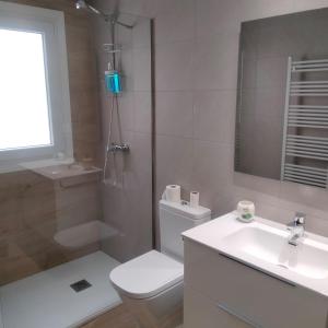 een badkamer met een toilet, een wastafel en een douche bij maitzegur etxea in Echarri-Aranaz