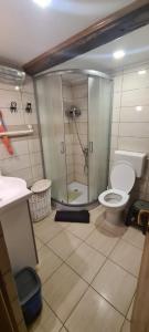 a bathroom with a shower and a toilet in it at Kuća za odmor Jadra in Duga Resa