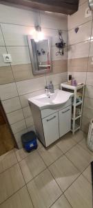 杜加雷薩的住宿－Kuća za odmor Jadra，一间带水槽和镜子的浴室