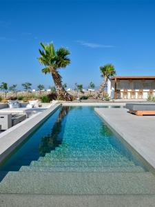 a swimming pool with palm trees and a building at Villa Rojo in Santa Maria