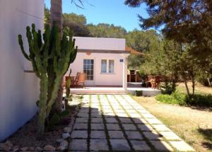a small white house with a cactus in front of it at Apartamentos Vista Vedrá in La Savina