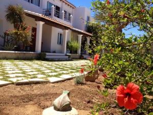 a house with a yard with flowers and a garden at Apartamentos Vista Vedrá in La Savina
