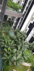 Ein Haufen Palmen in einem Gebäude in der Unterkunft M City Ampang MY in Kuala Lumpur