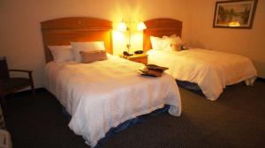 Postel nebo postele na pokoji v ubytování Hampton Inn Dallas-Rockwall