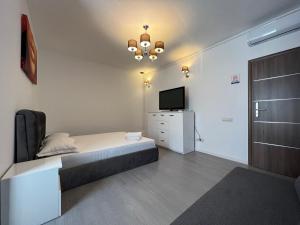 a bedroom with a bed and a tv and a door at Bucharest Center Villa in Bucharest