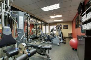 Fitness centrum a/nebo fitness zařízení v ubytování Hampton Inn & Suites Denver Littleton