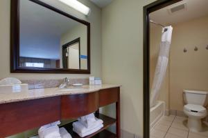 Koupelna v ubytování Hampton Inn & Suites Denver Littleton