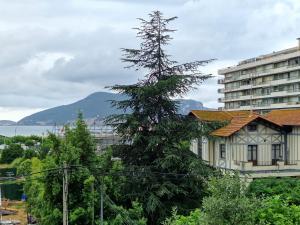 a large pine tree in front of a building at Mar y Montaña in Laredo