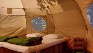 a room with a bed in a tent at Atypik Nomad in Recoubeau