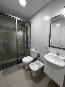 een badkamer met een toilet, een wastafel en een douche bij Portales de Tupungato in Tupungato