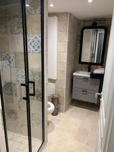 een badkamer met een douche, een toilet en een wastafel bij L isle aux Rêves appartement plain-pied avec patio RDC in LʼIsle-sur-la-Sorgue