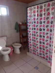 门多萨Acogedora casa para relax en Mendoza的带马桶和浴帘的浴室