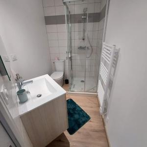 Koupelna v ubytování Bel appartement F2 hyper centre refait à neuf