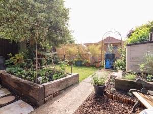 a garden with two raised beds of plants at Harmony Cottage in Bungay