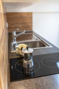 Kuchyň nebo kuchyňský kout v ubytování Residence Dilitz