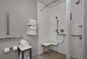 Koupelna v ubytování Hampton Inn Gallatin