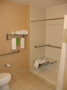 een badkamer met een douche, een toilet en handdoeken bij Hampton Inn Garden City in Garden City