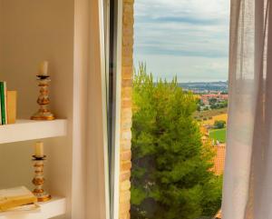 una ventana con vistas a un pino en Mia House - Alloggio da sogno a Civitanova Alta, en Civitanova Alta