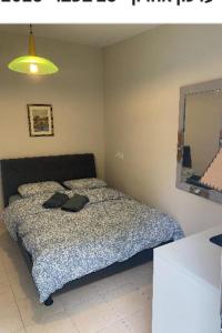 a bedroom with a bed and a mirror at דירת גן מרווחת במיקום מעולה עם נטפליקס חינמי in Ma'ale Adumim