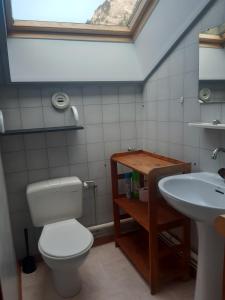 a bathroom with a toilet and a sink at Les Perthuis - Portes du Soleil in Châtel