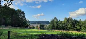 a horse walking in a field with a fence at L'Abri de la Chouette in Frasnes-lez-Anvaing