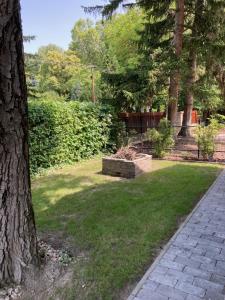 Aed väljaspool majutusasutust Diófa Vendégház